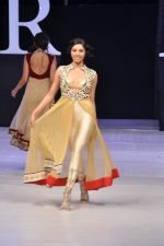 Model walk the ramp for Riyaz Gangji Show at IRFW 2012 Day 2 in Goa on 29th Nov 2012 (15).JPG